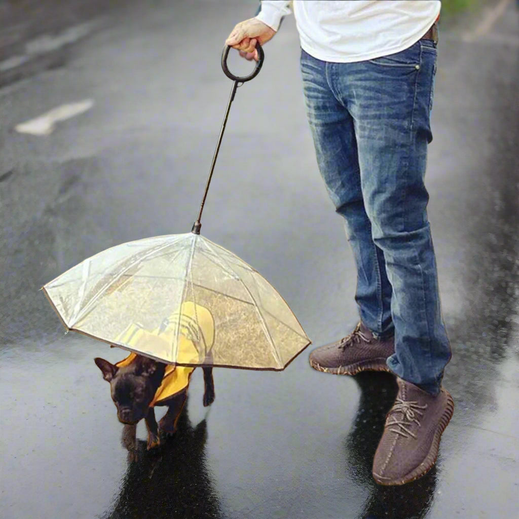 Dog Umbrella