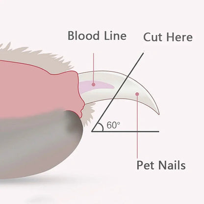 Professional Pet Nail Clippers with Led Light Pet Claw 