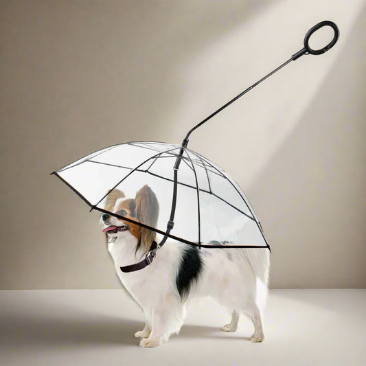 Dog Umbrella